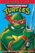 Subtitrare Teenage Mutant Ninja Turtles - Sezonul 1
