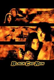 Subtitrare  Black Cat Run