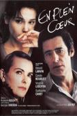 Subtitrare  En Plein Coeur (In All Innocence)