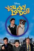 Subtitrare  You Lucky Dog