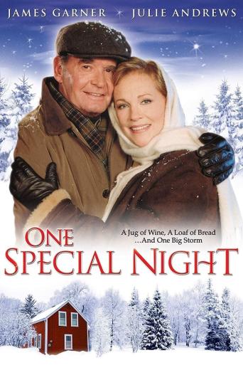 Subtitrare  One Special Night (A Winter Visitor)
