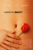 Subtitrare  American Beauty DVDRIP XVID