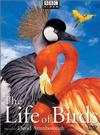 Subtitrare The Life of Birds - Sezonul 1