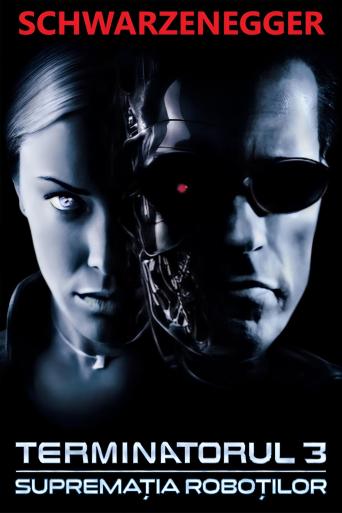Subtitrare  Terminator 3: Rise of the Machines DVDRIP