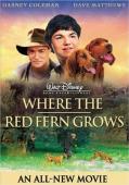 Subtitrare  Where the Red Fern Grows DVDRIP