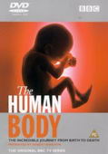Subtitrare The Human Body