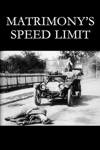 Subtitrare  Matrimony's Speed Limit