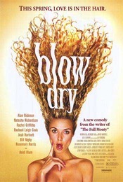 Subtitrare  Blow Dry DVDRIP XVID