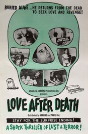 Subtitrare  Love After Death