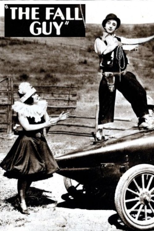 Subtitrare  The Fall Guy