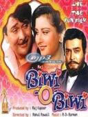 Subtitrare  Biwi O Biwi DVDRIP XVID