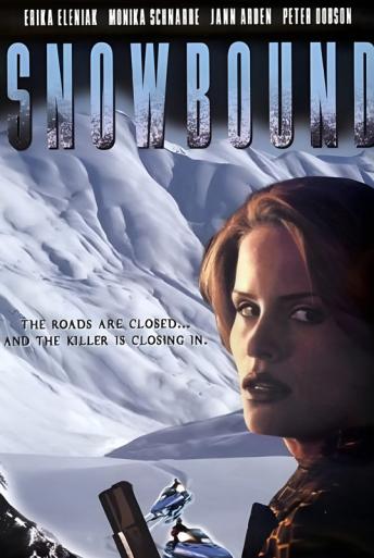 Subtitrare  Snowbound (White Lies) DVDRIP