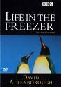 Subtitrare Life in the Freezer