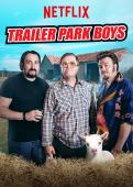 Subtitrare Trailer Park Boys - Sixth Season