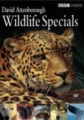 Subtitrare  Wildlife Specials XVID