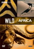 Subtitrare Wild Africa