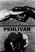 Subtitrare  Pehlivan