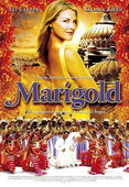 Subtitrare  Marigold  DVDRIP XVID