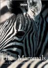 Subtitrare  &#x22;The Life of Mammals&#x22; 