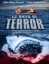 Subtitrare 12 Days of Terror