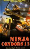 Subtitrare  Ninjas, Condors 13 DVDRIP HD 720p