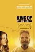 Subtitrare  King of California DVDRIP HD 720p 1080p XVID