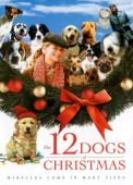 Subtitrare The 12 Dogs of Christmas