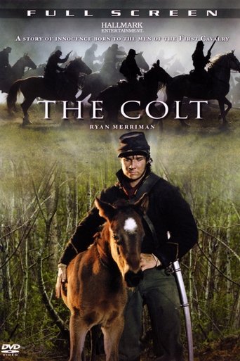 Subtitrare  The Colt