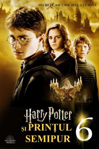 Subtitrare Harry Potter and the Half-Blood Prince