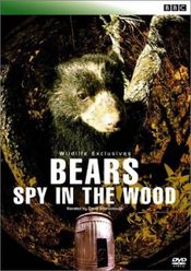Subtitrare  Bears: Spy in the Woods XVID