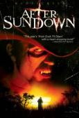 Subtitrare  After Sundown