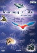 Subtitrare Journey of Life