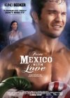 Subtitrare  From Mexico with Love  DVDRIP XVID