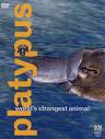 Subtitrare  Platypus: World's Strangest Animal XVID