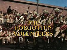 Subtitrare  Forgotten Volunteers XVID