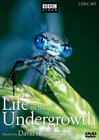 Subtitrare Life in the Undergrowth