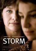 Subtitrare  Storm 
