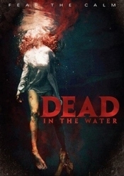 Subtitrare  Dead in the Water DVDRIP XVID