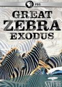 Subtitrare  PBS Nature - Great Zebra Exodus HD 720p
