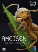 Subtitrare Ants Natures Secret Power (Ameisen - Die heimliche