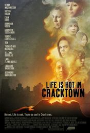 Subtitrare  Life Is Hot in Cracktown DVDRIP XVID