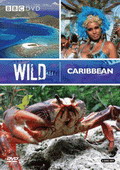 Subtitrare  Wild Caribbean