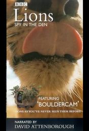 Subtitrare  Lions: Spy in the Den