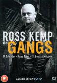 Subtitrare Ross Kemp on Gangs - Sezonul 1