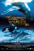 Subtitrare  Dolphins and Whales 3D: Tribes of the Ocean HD 720p 1080p