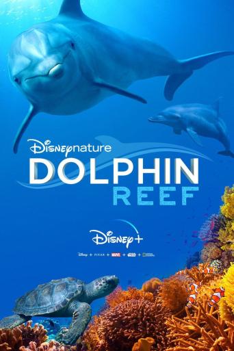 Subtitrare  Dolphin Reef (Disneynature: Dolphin Reef)