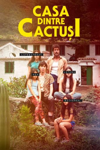 Subtitrare  La casa entre los cactus (The House Among the Cactuses)