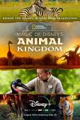 Subtitrare  Magic of Disney's Animal Kingdom - Sezonul 1