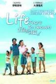 Subtitrare  Life 