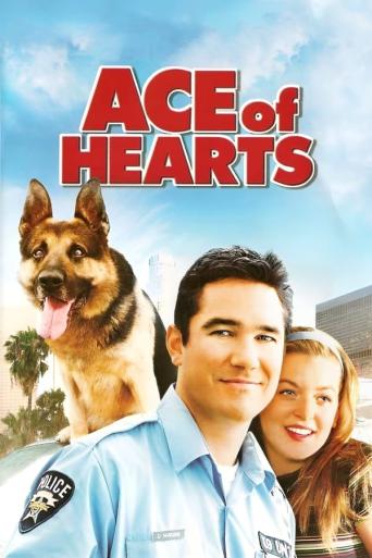 Subtitrare  Ace of Hearts DVDRIP XVID